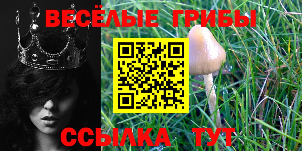 Псилоцибиновые грибы MAGIC MUSHROOMS  Вход с VPN  Псилоцибиновые грибы мицелий  Чистополь 