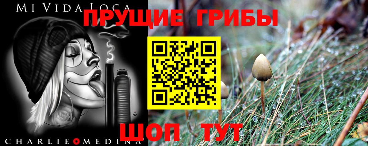 Галлюциногенные грибы Cubensis Чистополь